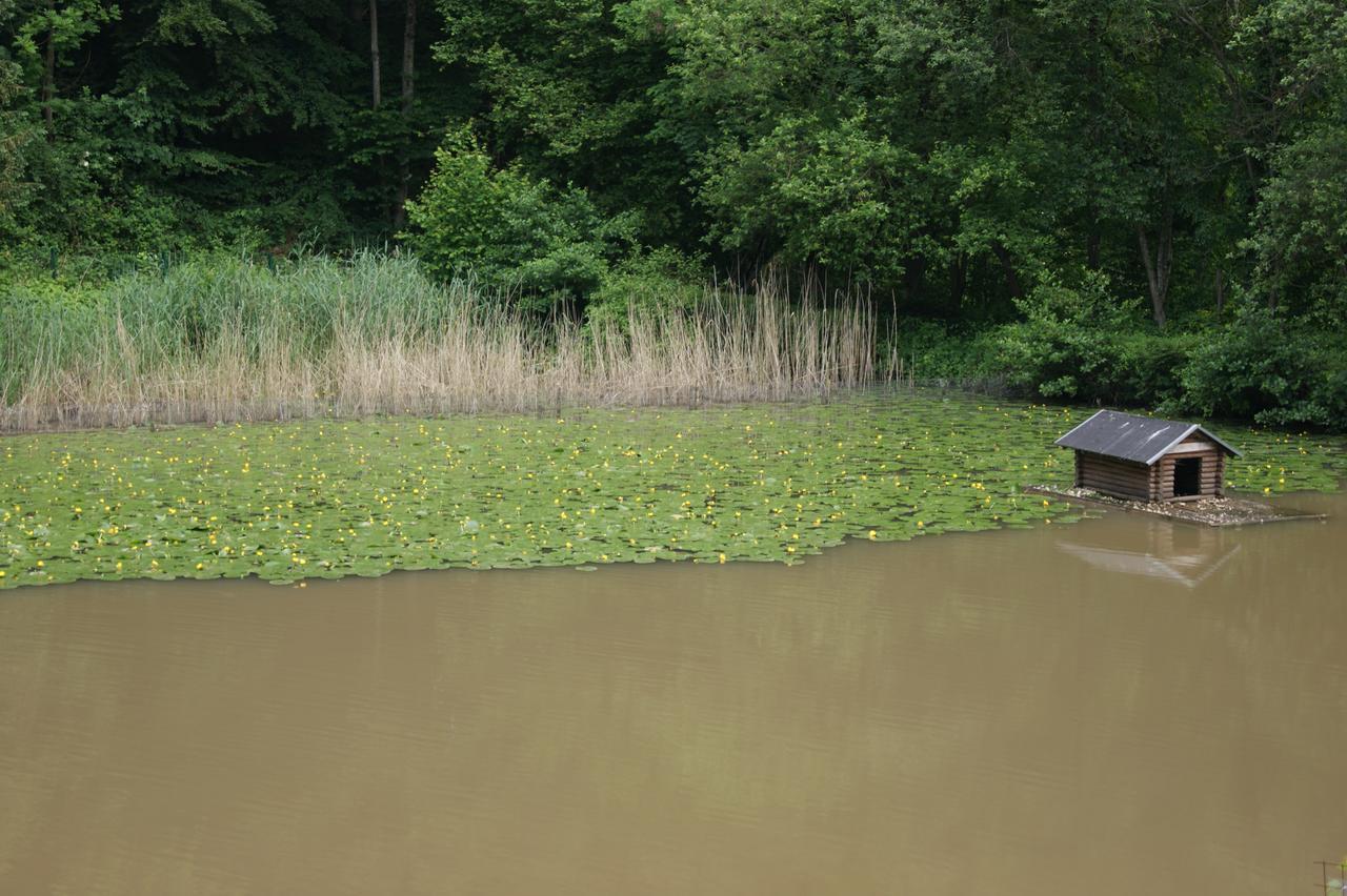 Hotel Restaurant Muckensee Lorch Zewnętrze zdjęcie
